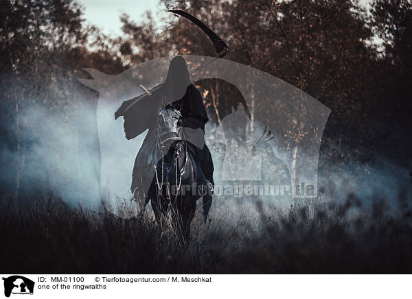 einer der Ringgeister / one of the ringwraiths / MM-01100