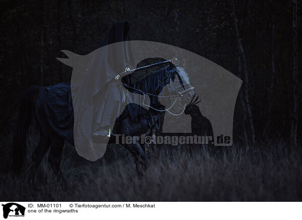 einer der Ringgeister / one of the ringwraiths / MM-01101
