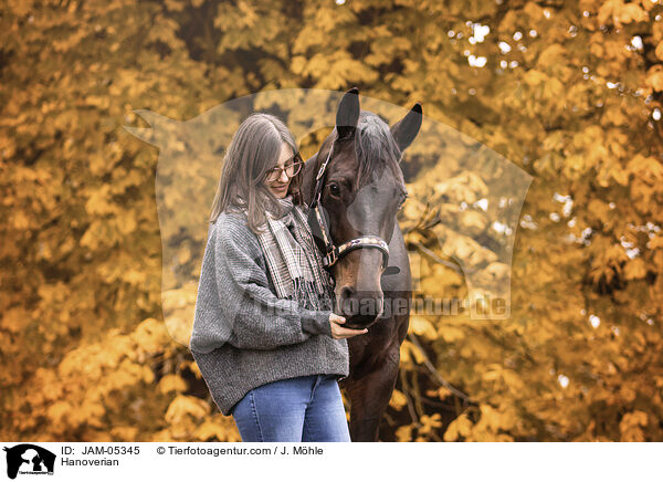 Hannoveraner / Hanoverian / JAM-05345