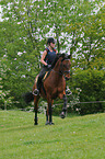 jumping Hannoveraner horse