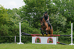 jumping Hannoveraner horse