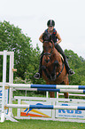 jumping Hannoveraner horse
