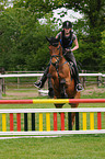 jumping Hannoveraner horse