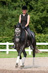 woman rides Hanoverian horse