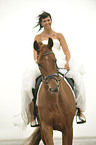 woman rides Hanoverian horse