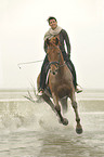 woman rides Hanoverian horse