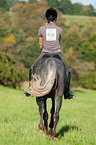 woman rides Hanoverian