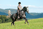 woman rides Hanoverian