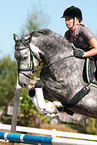 woman rides Hanoverian