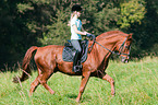 girl rides Hanoverian