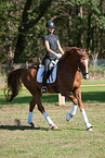 Woman rides Hanoverian