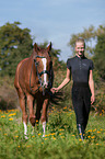 Hanoverian Horse with woman