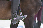 woman with Hanoverian Horse