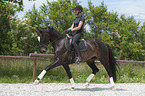 woman rides Hanoverian Horse