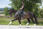 woman rides Hanoverian Horse