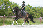 woman rides Hanoverian Horse