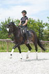 woman rides Hanoverian Horse