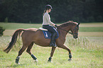 woman rides Hanoverian Horse