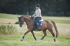 woman rides Hanoverian Horse