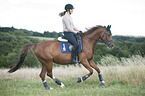 woman rides Hanoverian Horse