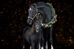 2 horses
