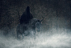 one of the ringwraiths