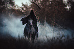 one of the ringwraiths