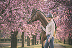 Hanoverian Horse