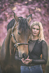 Hanoverian Horse