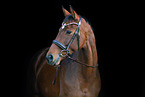 Hanoverian