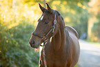 Hanoverian