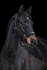 Hanoverian