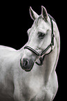 Hanoverian