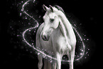 Hanoverian