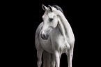 Hanoverian