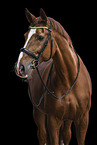 Hanoverian