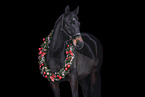 Hanoverian