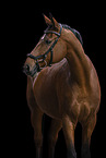 Hanoverian