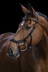 Hanoverian