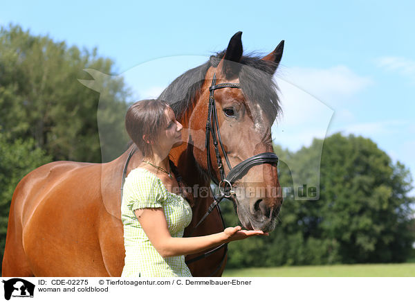 Frau und Kaltblut / woman and coldblood / CDE-02275