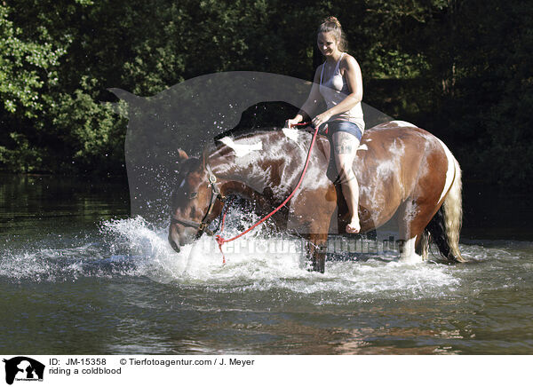 riding a coldblood / JM-15358