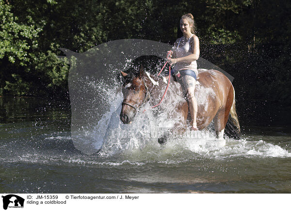 riding a coldblood / JM-15359