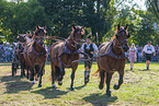 coldbloods before carriage