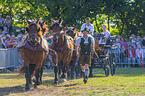 coldbloods before carriage