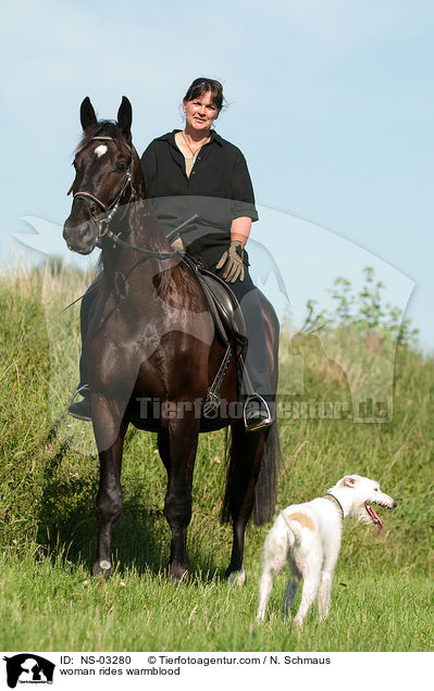 woman rides warmblood / NS-03280