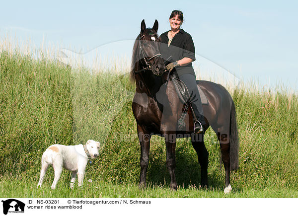 woman rides warmblood / NS-03281