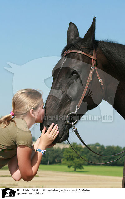 Mdchen und Schsisches Schweres Warmblut / girl and warmblood / PM-05268