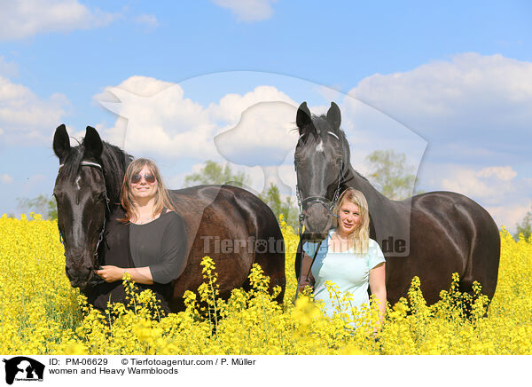 Frauen und Schwers Warmblter / women and Heavy Warmbloods / PM-06629
