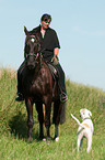 woman rides warmblood