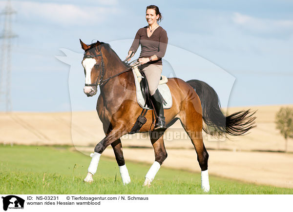 woman rides Hessian warmblood / NS-03231